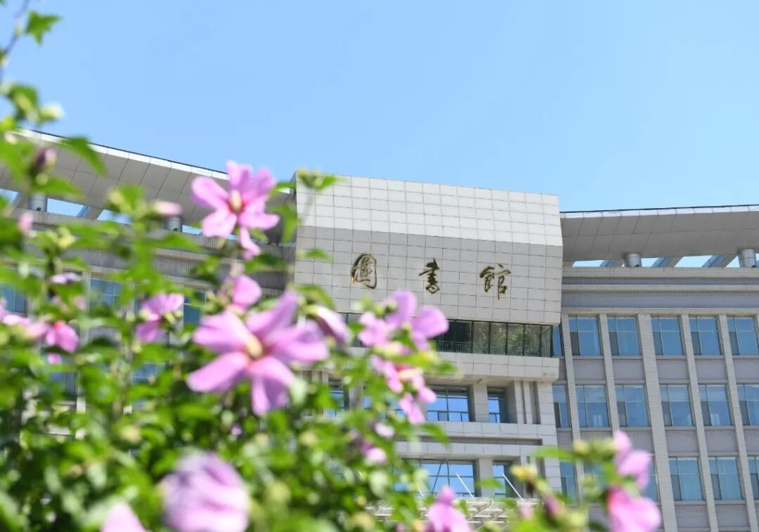 yobo体育官网