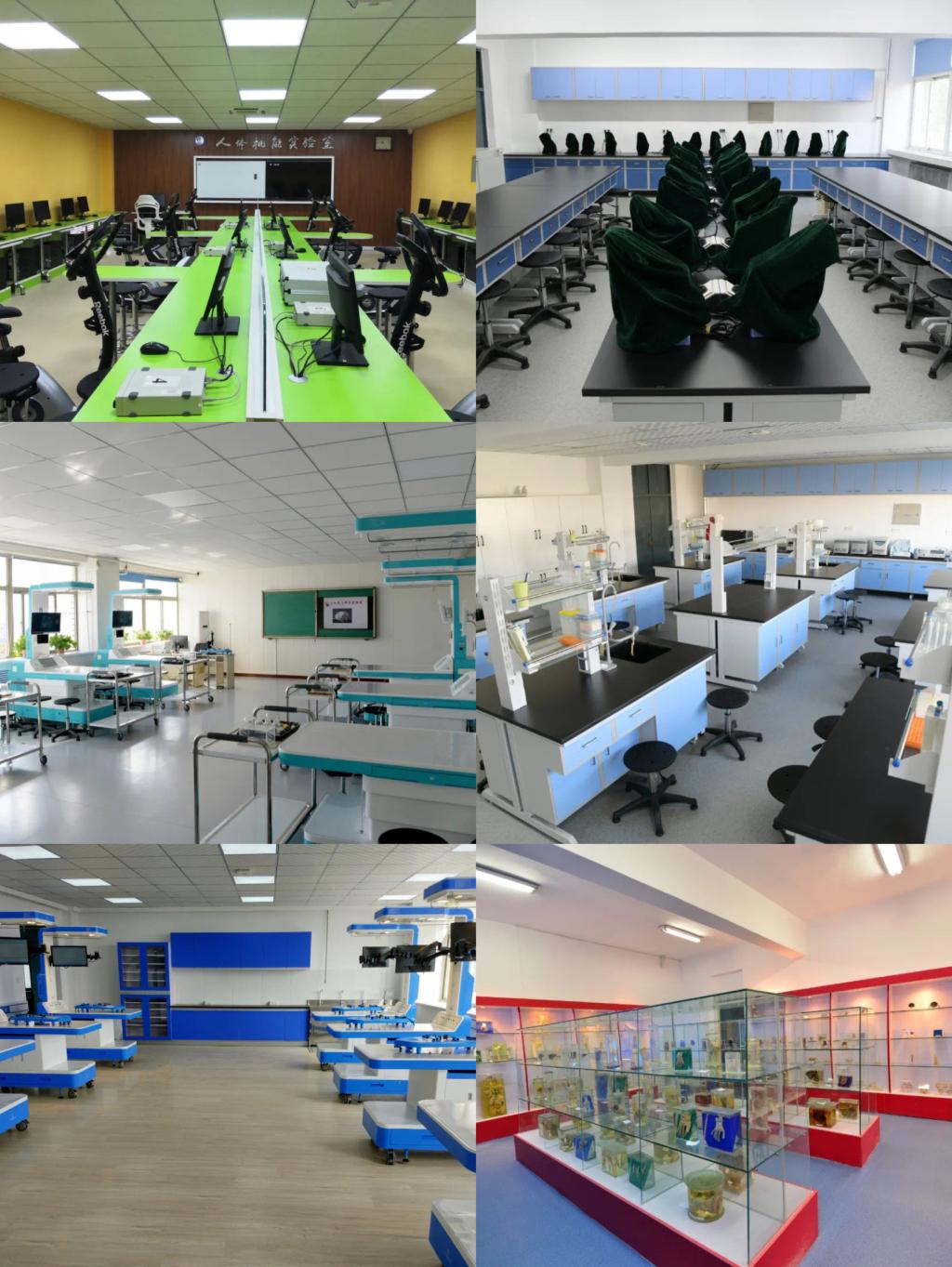 The School of Basi