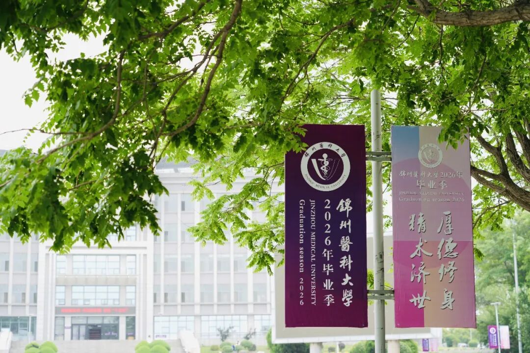 蝉鸣攀上绿树枝头